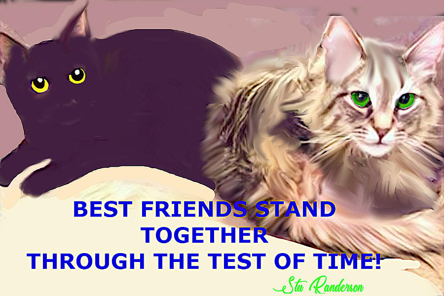Cat Quotes Best Friends Bouker Touker And Tiger Digital Art By Stu Randerson