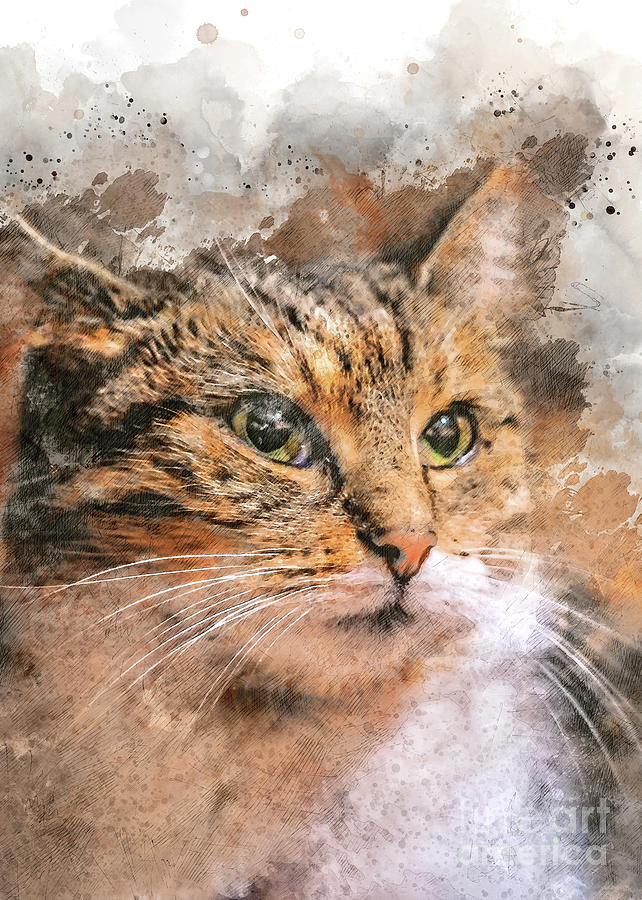 cat Saba art  Digital Art by Justyna Jaszke JBJart