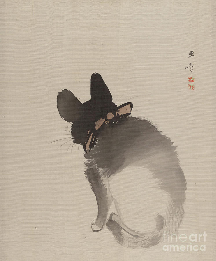 Cat Seen Drawing by Heritage Images