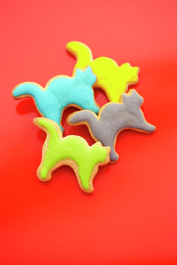 Cat Shaped Biscuits With Colorful Icing In Front Of A Red Background Photograph by Werner / S. Brigitte