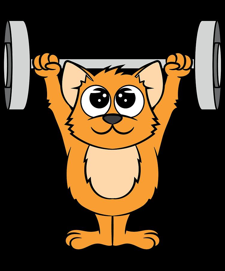 Cat Weight Lifting is made specially for your pet and exercise fanatic ...