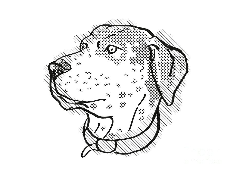 Black And White Digital Art - Catahoula Leopoard Dog Breed Cartoon Retro Drawing by Aloysius Patrimonio