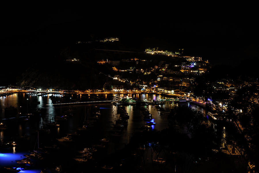 Catalina Dreaming Photograph by Jonathan Desimone - Fine Art America