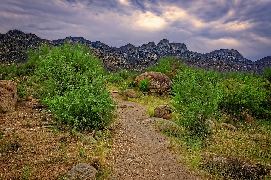 Catalina Foothills h1120 Photograph by Mark Myhaver