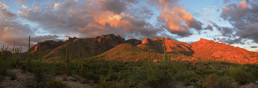Catalina Mountains, Arizona Photograph by Chance Kafka