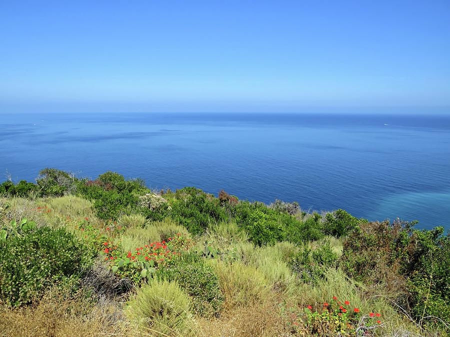 Catalina Seascape Photograph by Connor Beekman