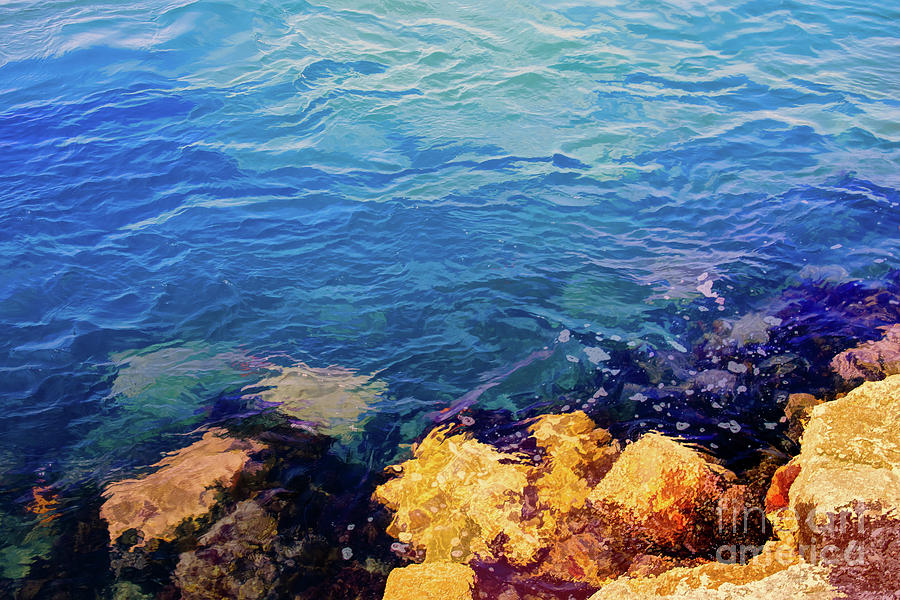 Catalina Shore with Colorful Rocks Photograph by Roslyn Wilkins