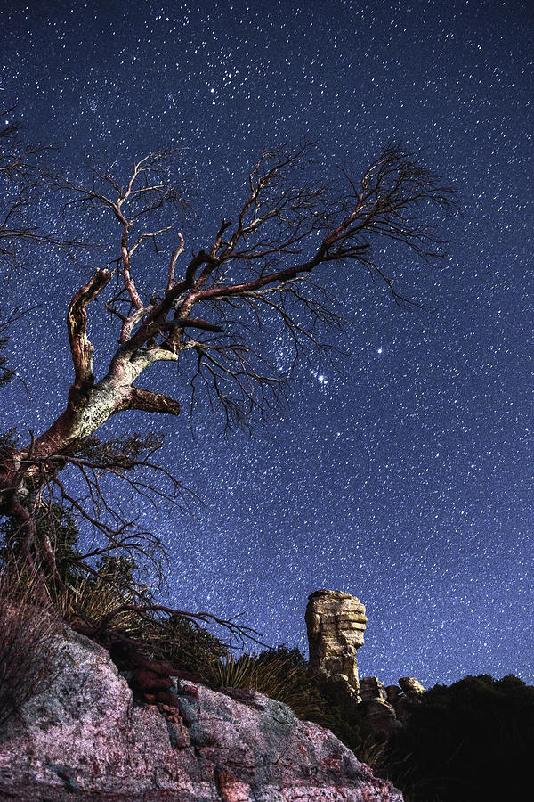 Catalinas Starry Night Photograph by Chance Kafka