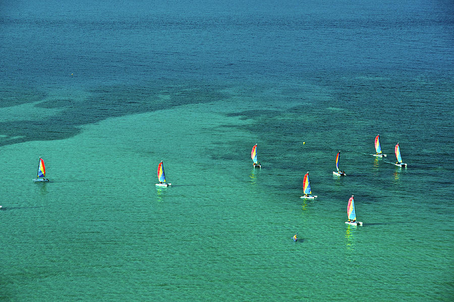 Catamarans, Catseye Bay, Hamilton Photograph by Robin Smith Catamarans, Catseye Bay, Hamilton Photograph by Robin Smith