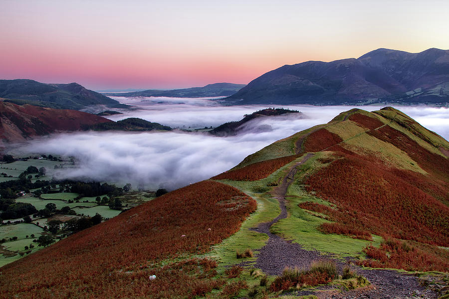 Catbells Inversion Photograph by Phil Buckle