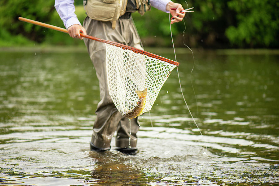 Trout Photograph - Catching A Trout On A Southeastern River by Cavan Images