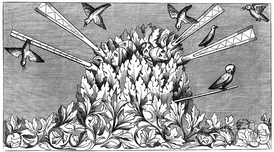 Catching Birds, 14th Century 1849 Drawing by Print Collector