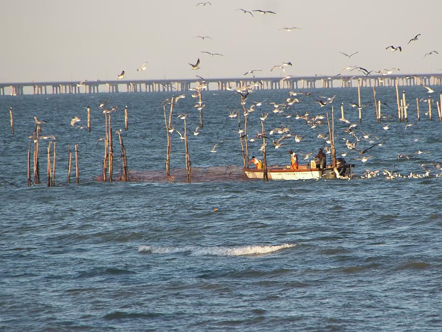 Fishing on the Chesapeake Bay Photograph by Arnold Hence Fishing on the Chesapeake Bay Photograph by Arnold Hence