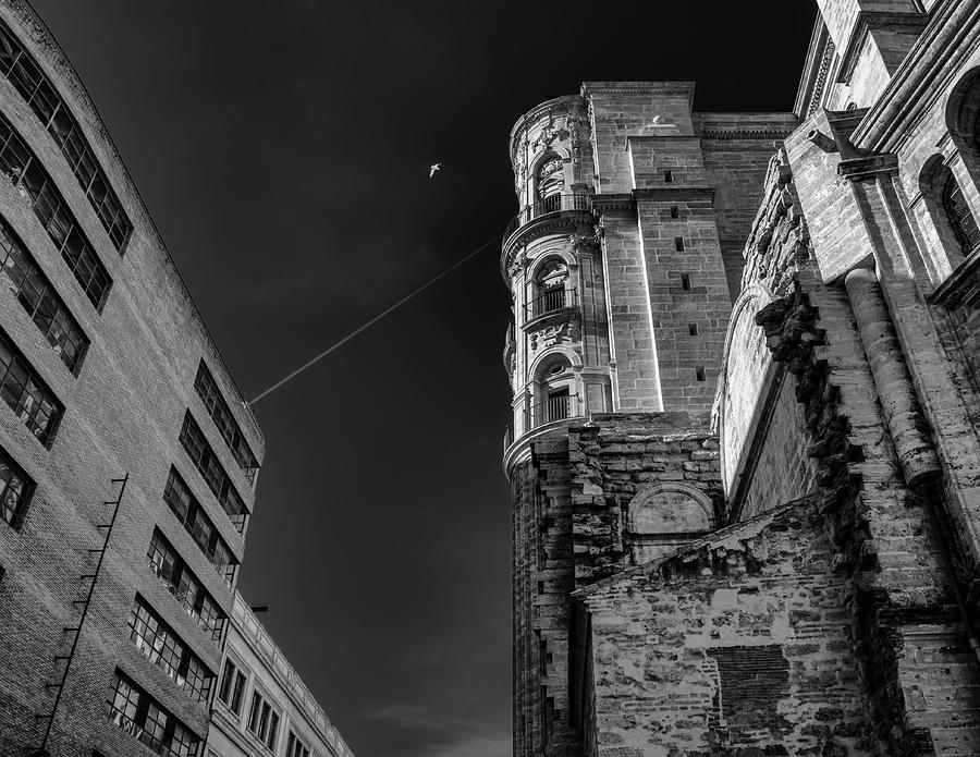 Cathedral Photograph - Catedral De Malaga IIi by Borja Robles Cathedral Photograph - Catedral De Malaga IIi by Borja Robles