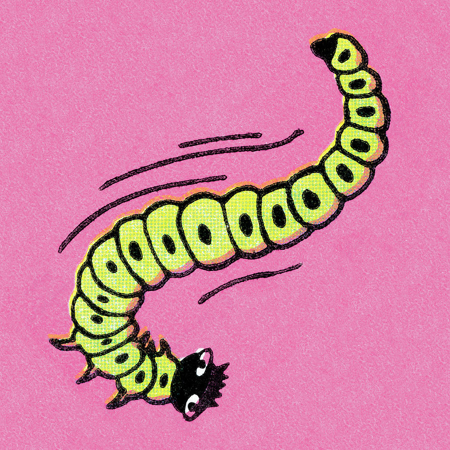 Vintage Drawing - Caterpillar by CSA Images