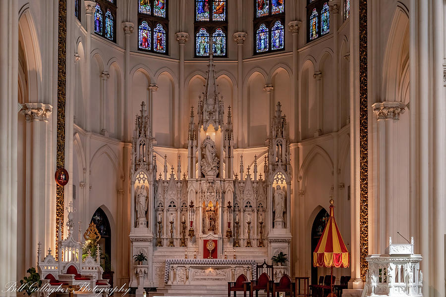 Cathedral Basilica Of The Immaculate Conception Photograph By Bill ...