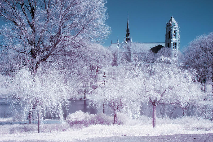 Cathedral Basilica The Sacred Heart IR  Photograph by Susan Candelario
