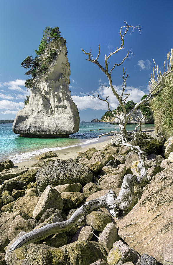 Cathedral Cove Photograph by John Chivers