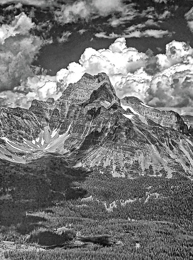 Nature Photograph - Cathedral Mountain bw by Steve Harrington