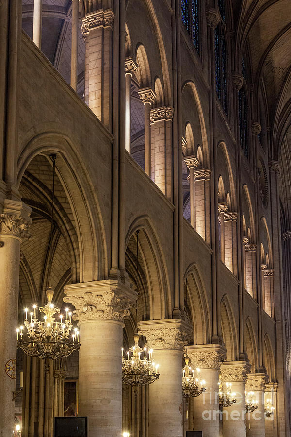Cathedral Notre Dame Columns Photograph