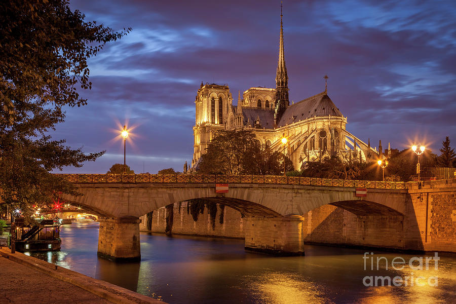 Cathedral Notre Dame Paris Photograph by Brian Jannsen