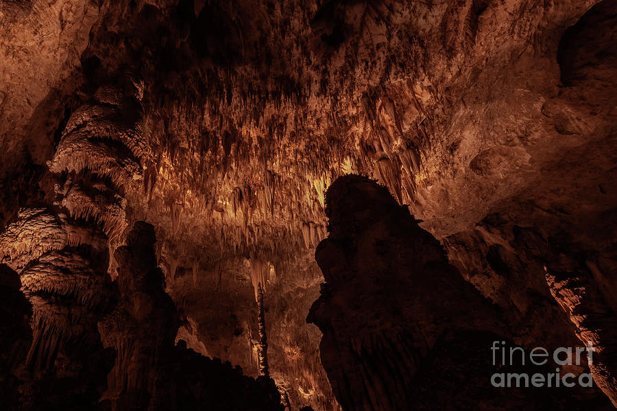 Stalactites Photograph - Cathedral of Nature by Michael Dawson