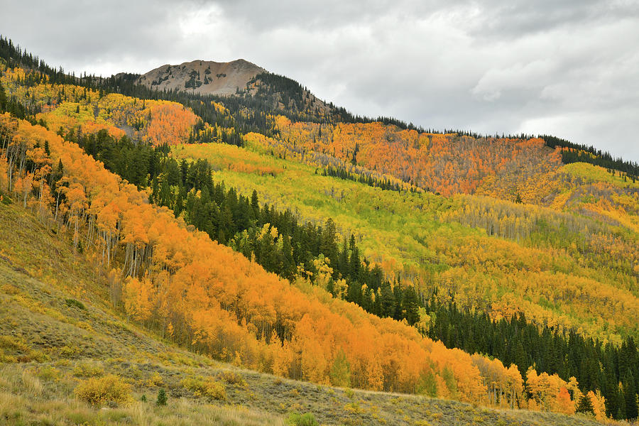 Cathedral Peak Fall Colors Photograph by Ray Mathis