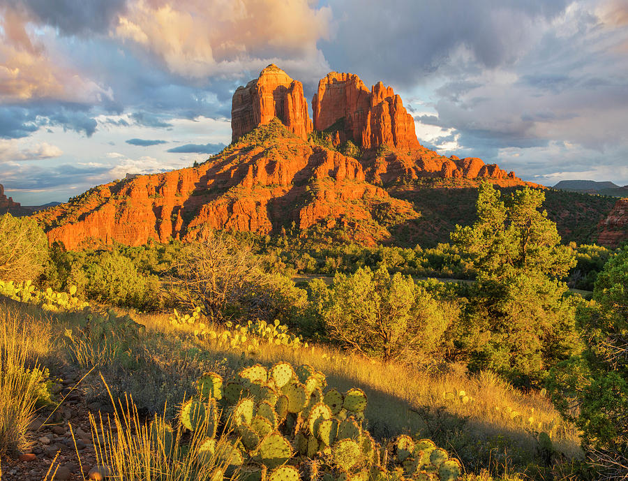 Cathedral Rock, Coconino National Forest, Arizona Photograph by Tim Fitzharris