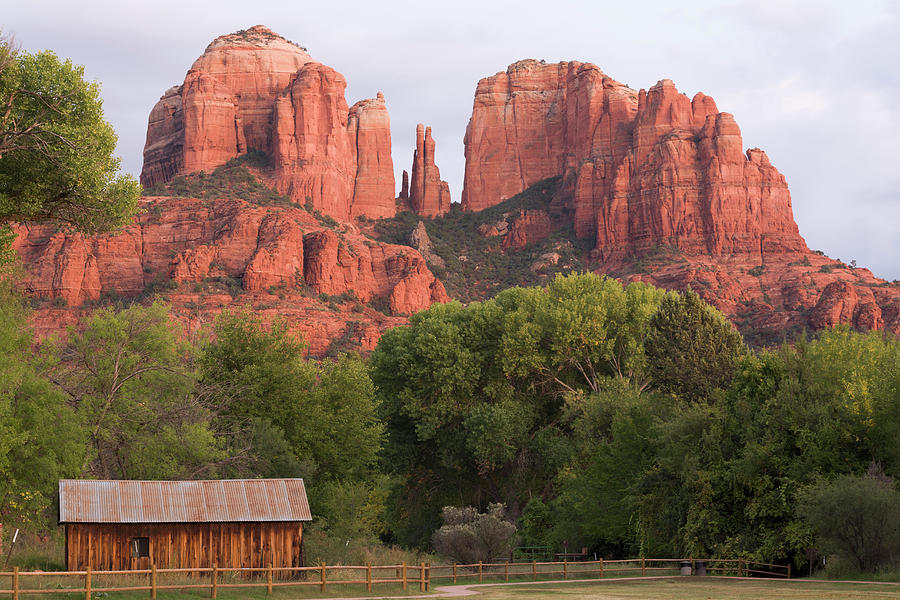 Cathedral Rock Looms Over Valley In Red Photograph by Win-initiative Cathedral Rock Looms Over Valley In Red Photograph by Win-initiative
