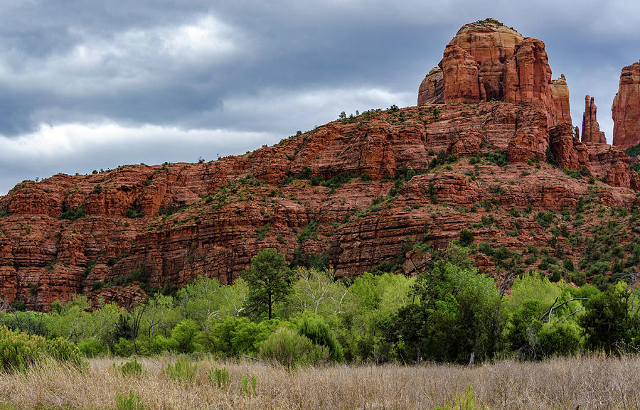 Cathedral Rock Panorama Photograph by Douglas Wielfaert