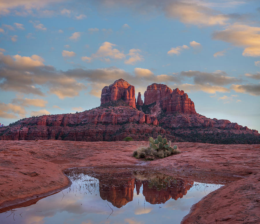 Cathedral Rock Recflection, Coconino National Forest, Near Sedona, Arizona Photograph by Tim Fitzharris