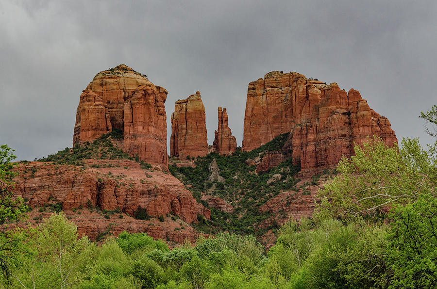 Cathedral Rock with Spring Foliage Photograph by Douglas Wielfaert