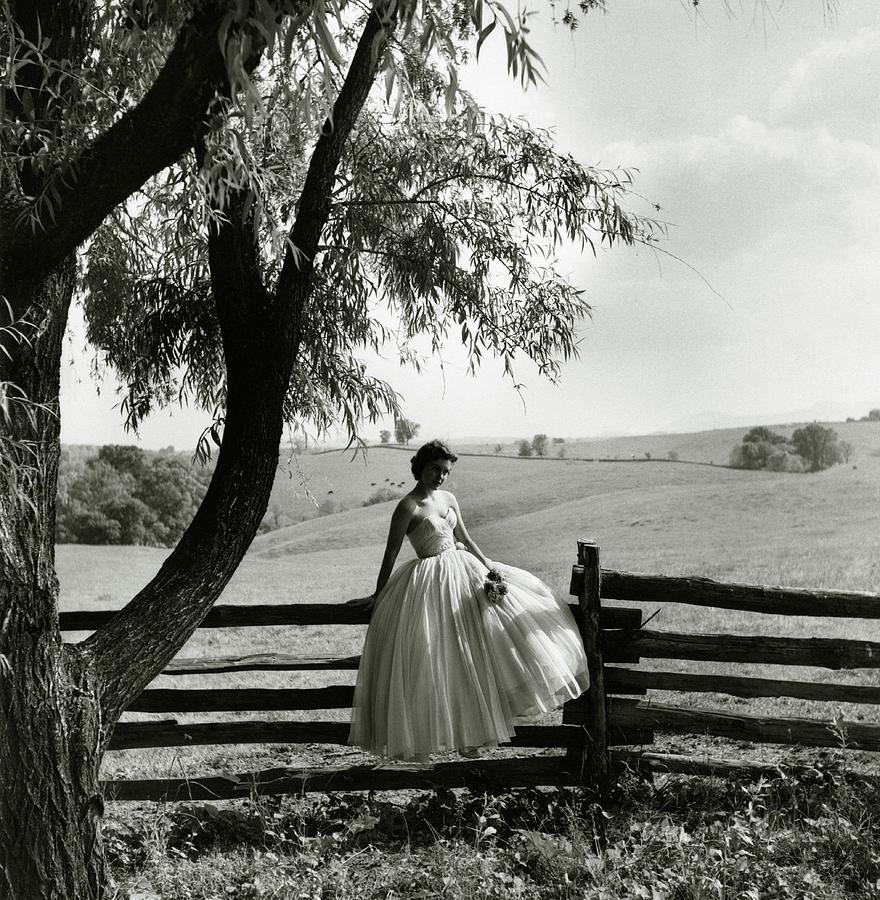 Catherine Mellon Sitting On A Fence By A Meadow Photograph by Toni Frissell
