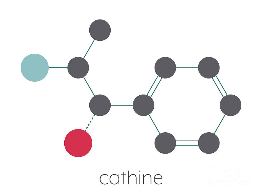 Cathine Khat Stimulant Molecule Photograph by Molekuul/science Photo Library