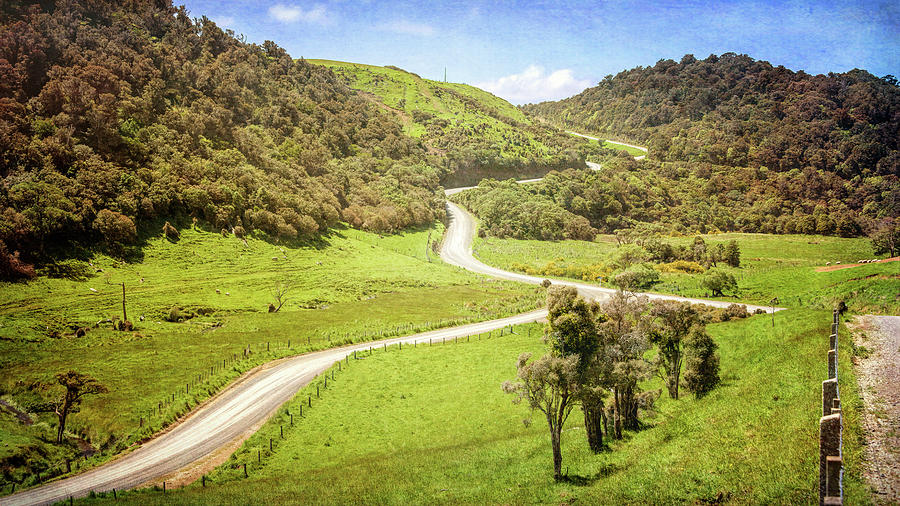 Catlins New Zealand Back Roads Photograph by Joan Carroll