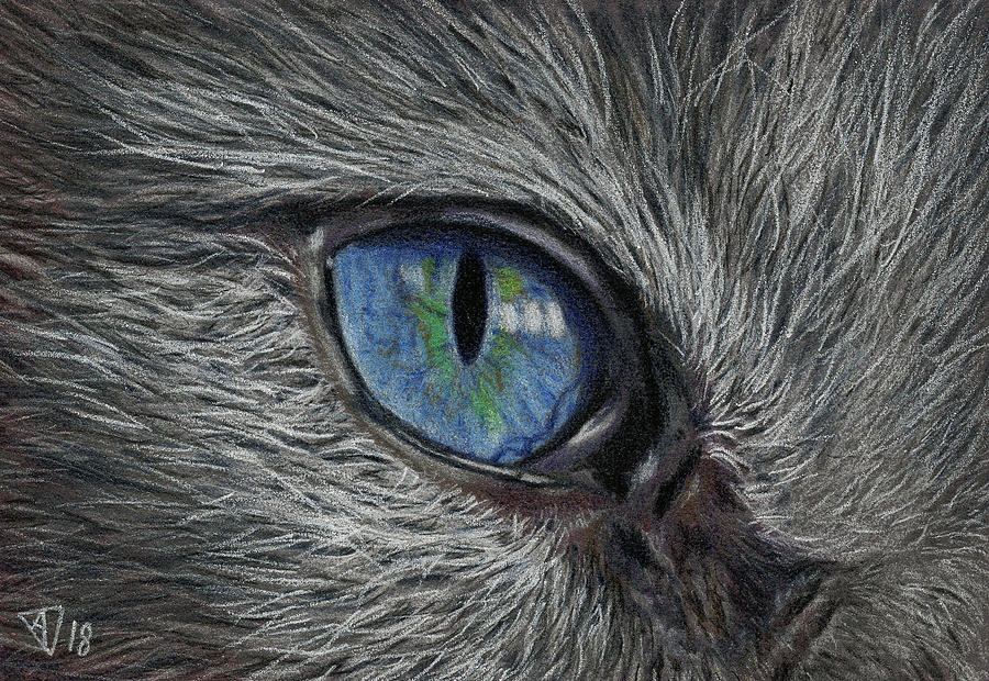 Cat S Eye Drawing By Ashley King
