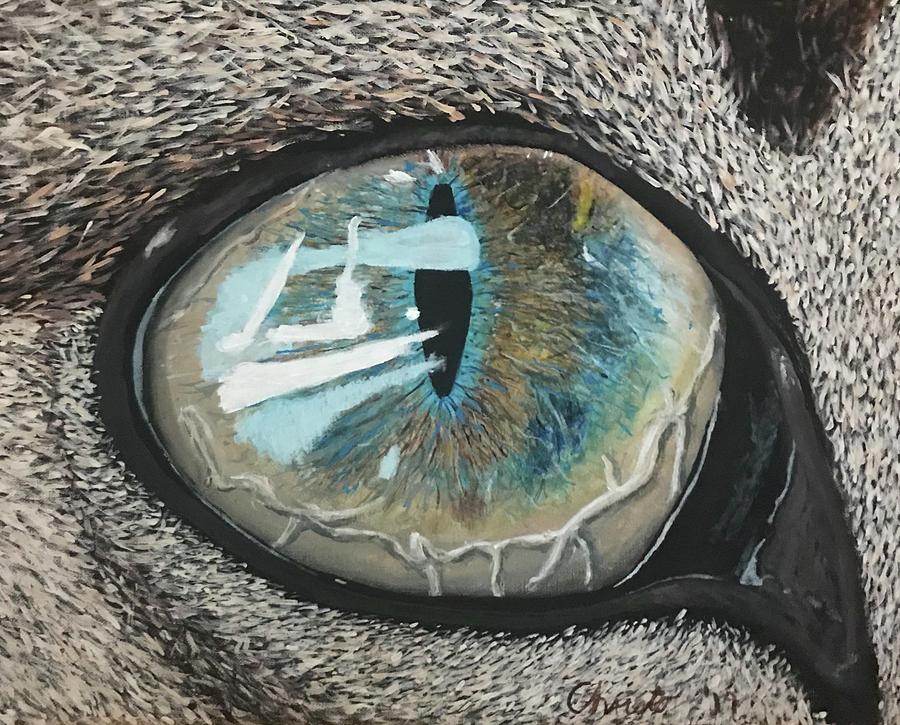 Cat Painting - Cats eye by Christo Botha