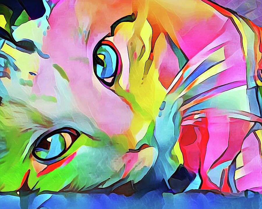 Cats Eyes Digital Art by Cindy Edwards