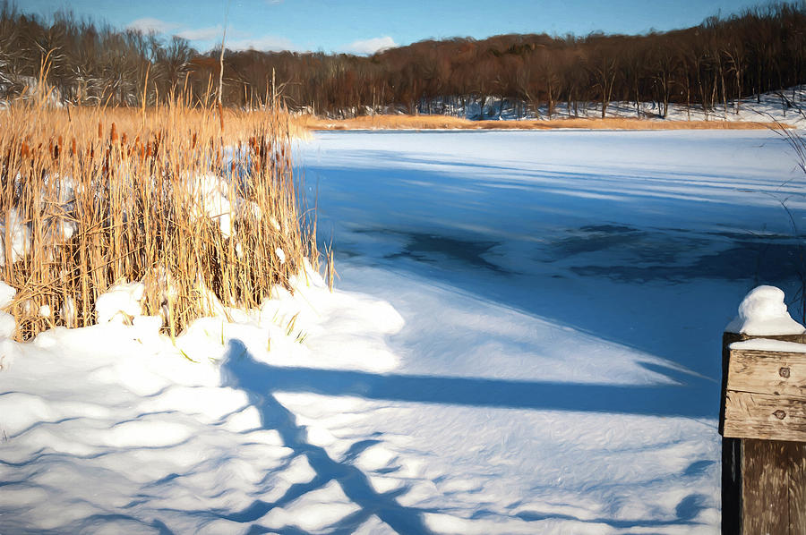 Nature Photograph - Cattails And Post  In Snow Along Pond by Anthony Paladino