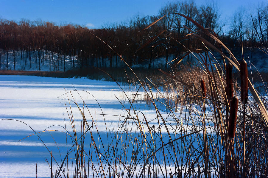 Nature Photograph - Cattails In Snow Along Pond by Anthony Paladino