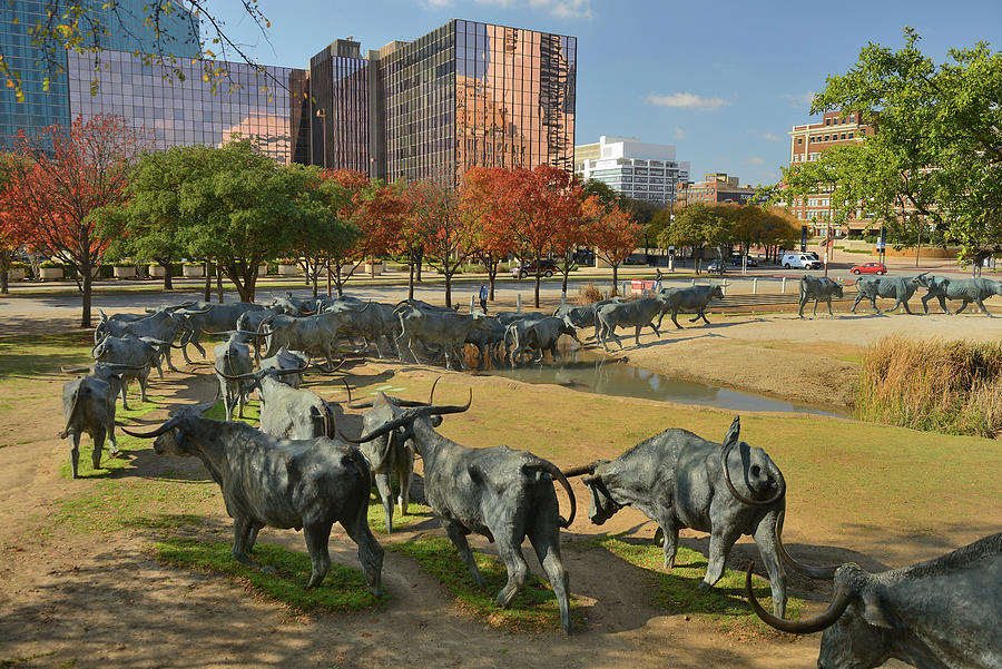 Cattle Drive Sculpture In Texas Digital Art by Heeb Photos