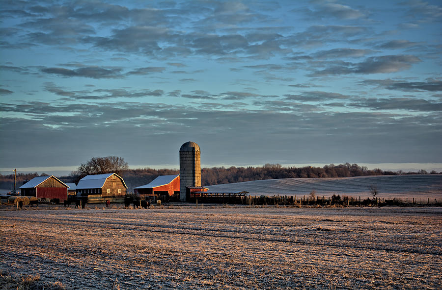 Cattle Farm Morning Photograph By Bonfire Photography - Fine Art America