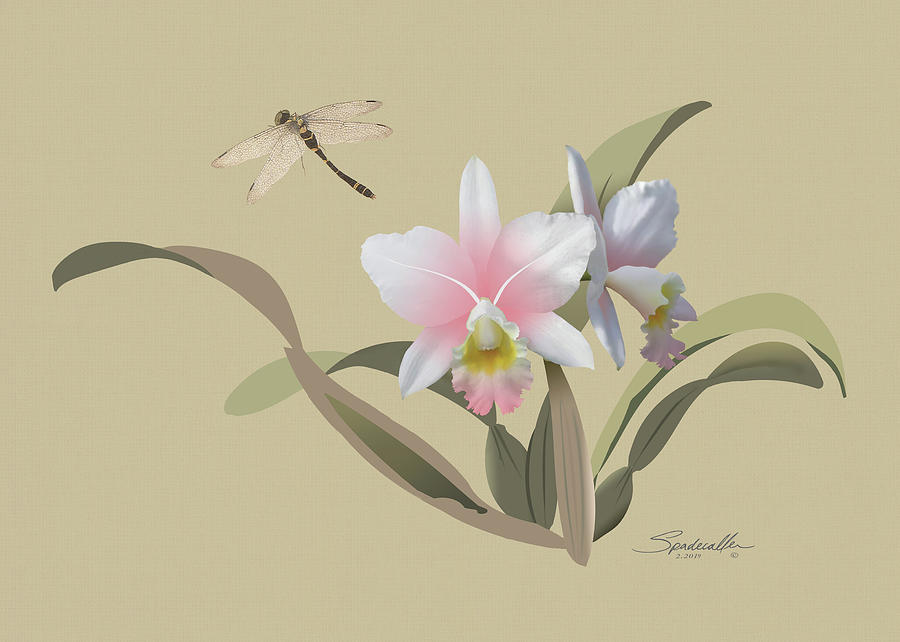 Cattleya Orchid And Dragonfly Digital Art by M Spadecaller
