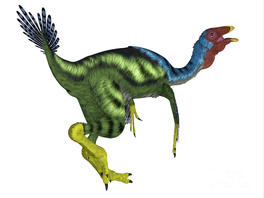 Caudipteryx Dinosaur Tail Digital Art by Corey Ford