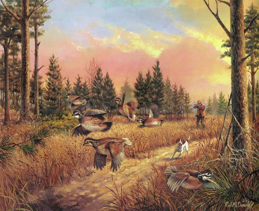 Bird Painting - Caught In The Open by R.j. Mcdonald