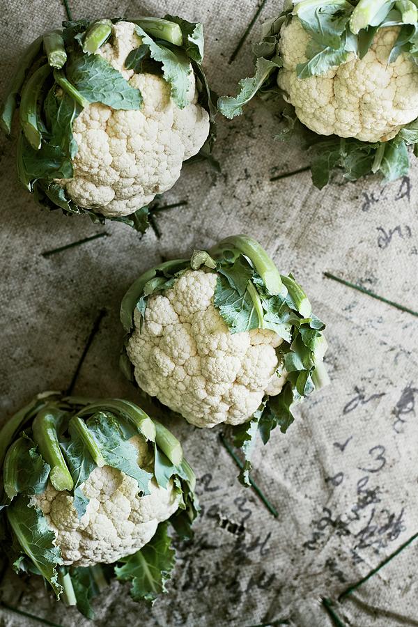Cauliflowers Photograph by Ulf Svane