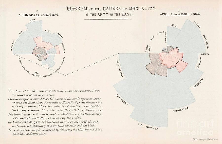 Causes Of Death In The Crimean War Photograph by Wellcome Images/science Photo Library