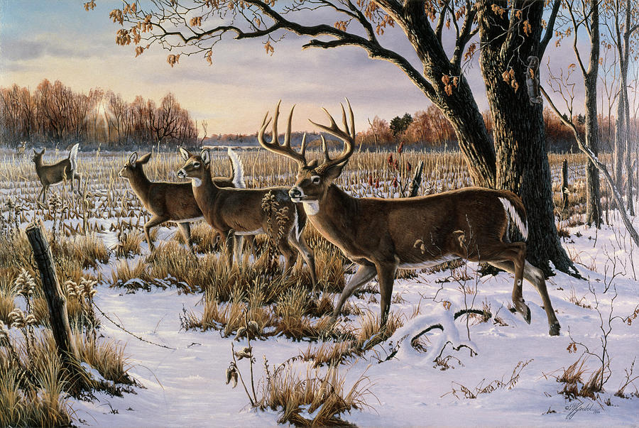 Animals Painting - Cautious Crossing - Whitetails by Wilhelm Goebel