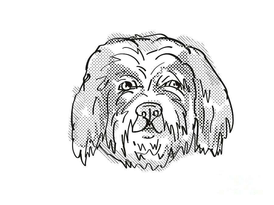 Cavachon Dog Breed Cartoon Retro Drawing Digital Art by Aloysius ...