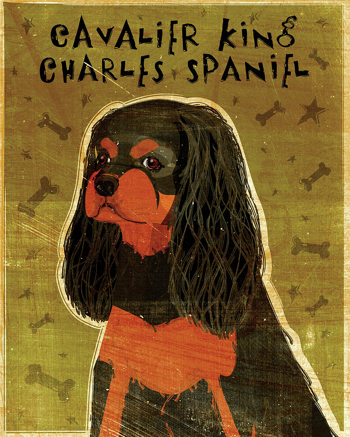 Animal Digital Art - Cavalier King Charles (black And Tan) by John W. Golden